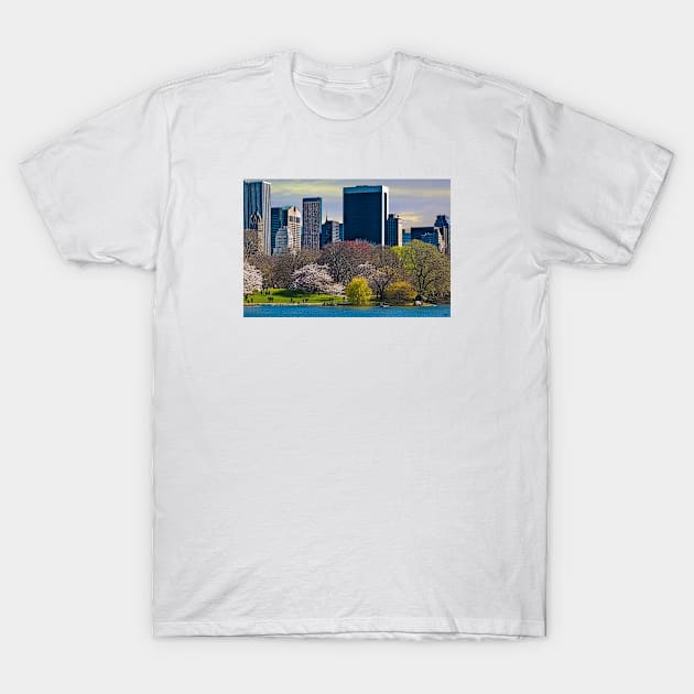 Springtime Arrives In Central Park, New York, USA T-Shirt by Chris Lord